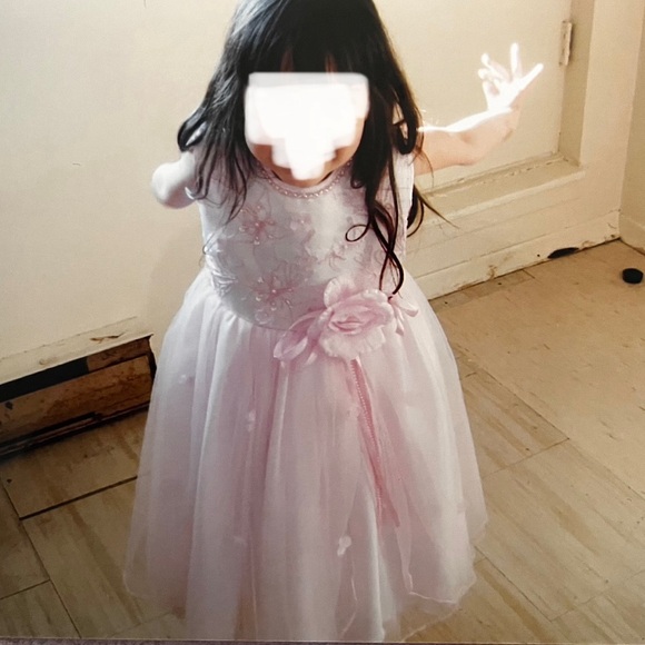 Pink Fluffy Party Princess Dress w/ rose - Picture 7 of 7